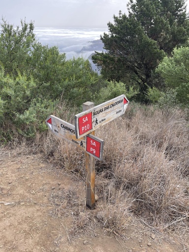 Excursão de dia inteiro